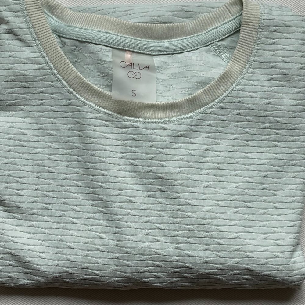 Calia Renew Long Sleeved Tee in Pale Pastel Green and Size S EUC!